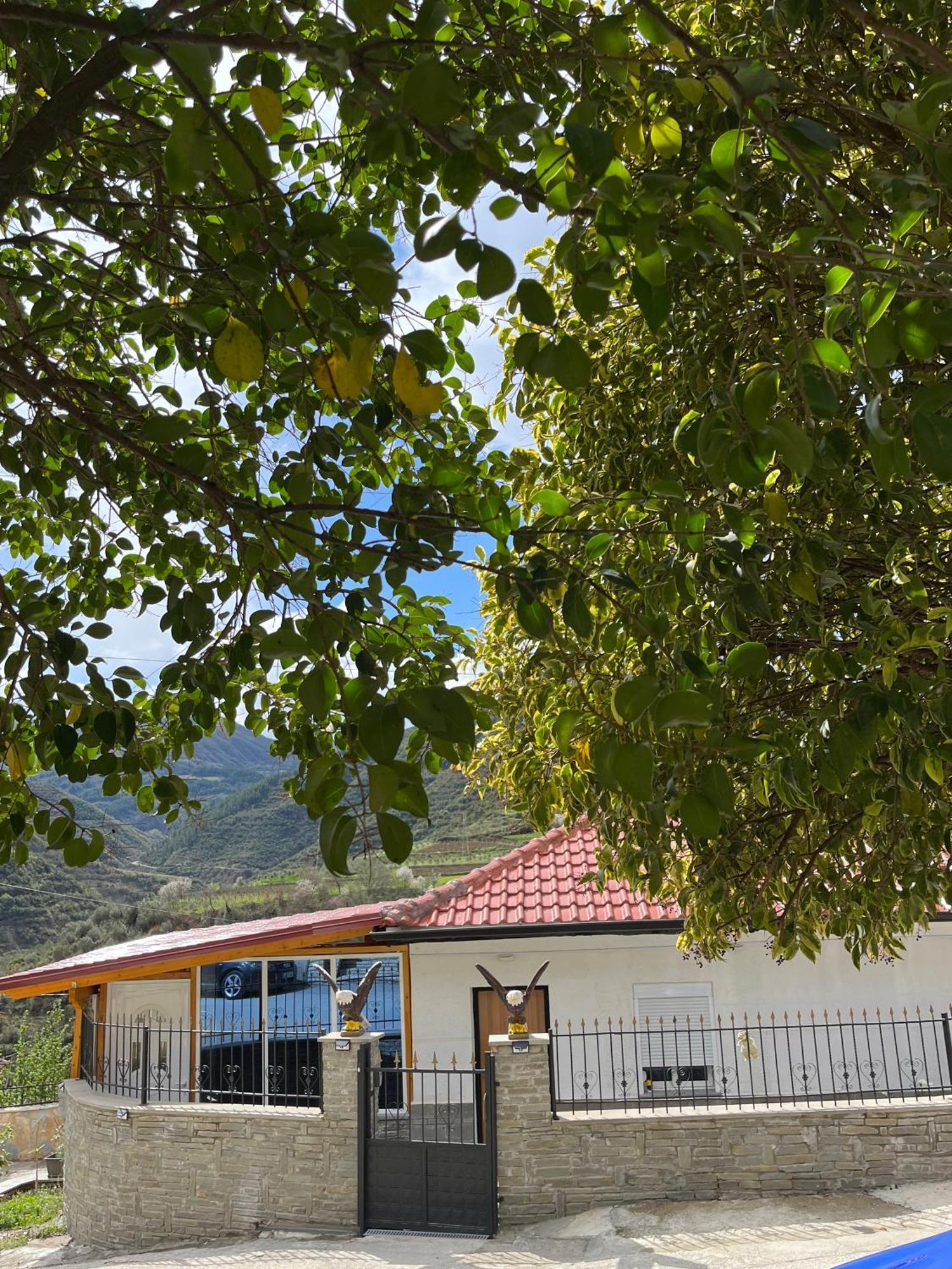 Apartman Canyon's House